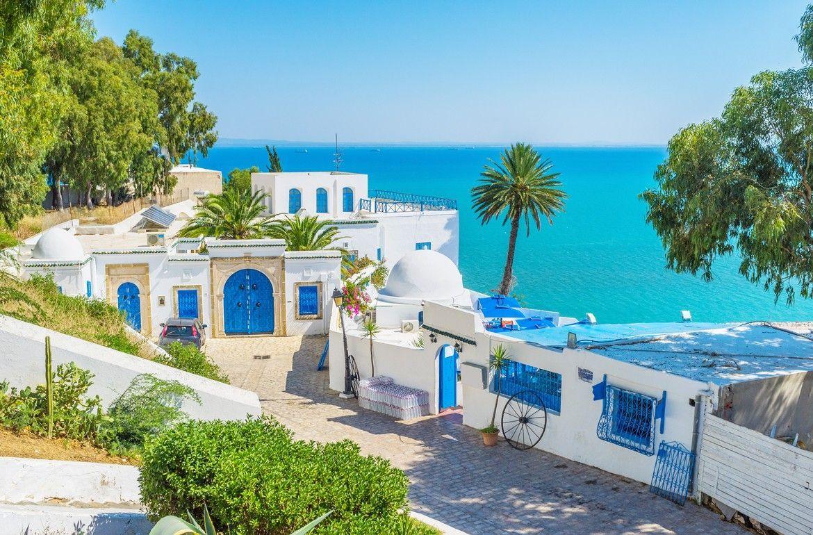 Quels sont les papiers qu'il faut en tant que touriste Français pour voyager en Tunisie Image