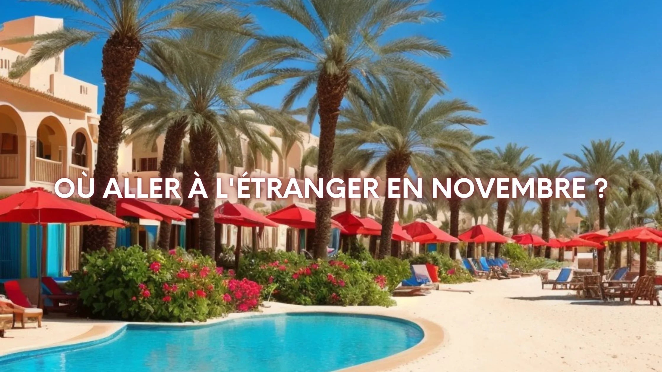Où aller à l'étranger en novembre ? Image