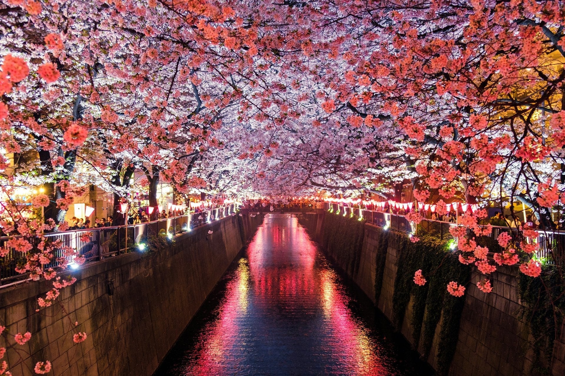 Comment préparer sa valise pour un voyage au Japon Image
