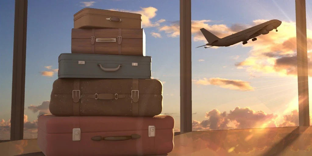 Comment protéger son bagage cabine pendant le vol  Image