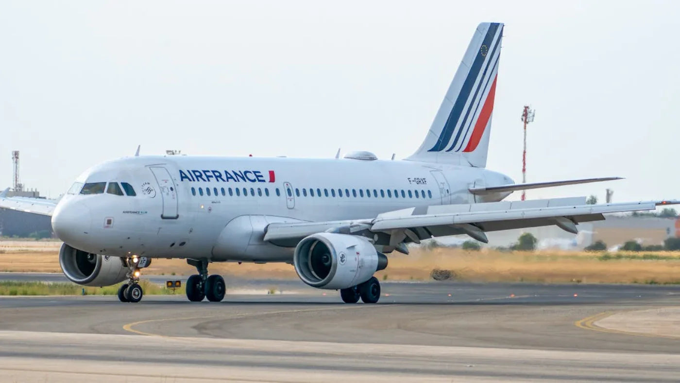 Bagage cabine Air France : quelles options pour éviter les frais ? Image
