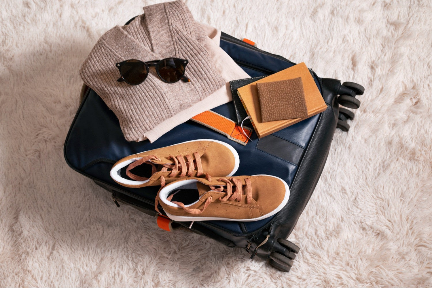 Peut-on mettre des chaussures dans un bagage cabine Image