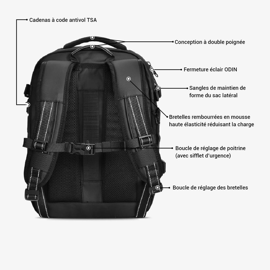 Free (40L) - PACK