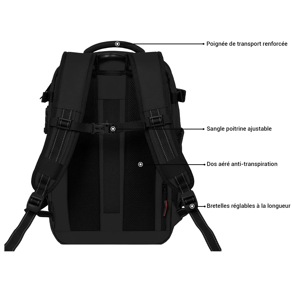 Original - PACK